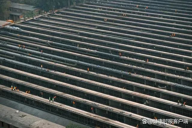 » 2、郑州一重点文物保护单位建方舱？官方：已叫停，不会再出现这类行为 11月11日，人民日报健康客户端记者以市民身份咨询国家文物局政策法规司新闻与宣传处，关于网传河南郑州在重点文物保护单位二砂厂建方舱一事，当地居民反映称建设期间出现敲毁玻璃、破坏墙体等行为，国家文物局相关工作人员回应称已向下级单位做出指示，不会再出现此类行为
