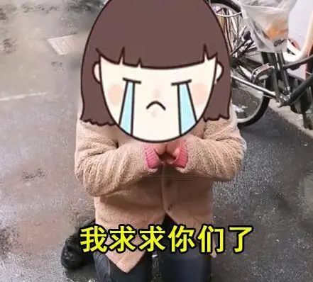 4. 上海回应“癌症患者因疫情防控无地就医”：已安排其他医院对接