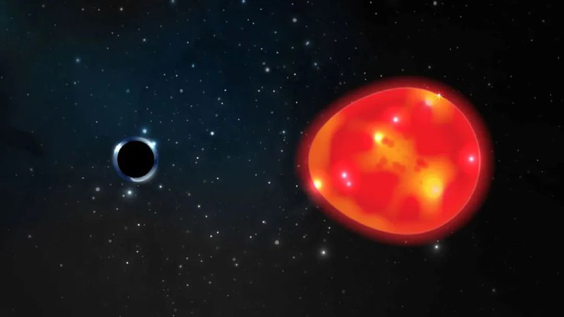 16. 科学家证明两个“黑洞”星系实为双星系统，“黑洞”为亚巨星近日，科学家证明此前所发现的“独角兽”(Unicorn)和“长颈鹿”(Giraffe)两个存在“黑洞”的星系实际上都是双星系统，这意味着前述两个“黑洞”的真身为恒星