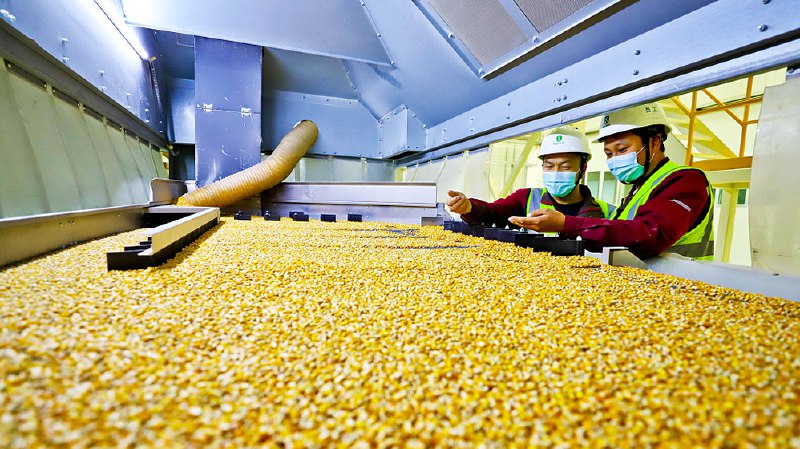 » 4、我国良种对农业增产的贡献率只有45% 距离欧美60%以上还有很大提升空间据调查统计，我国2021年国家大豆品种试验亩产在149公斤到236公斤之间，玉米品种试验亩产在565公斤到1043公斤之间，接近或者超过美国大田的亩产水平