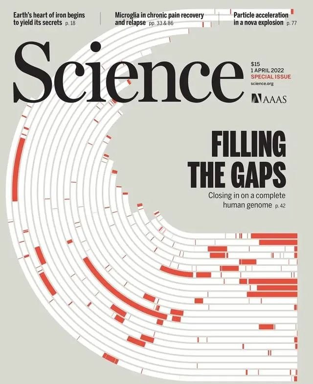 1. 《科学》封面：最新人类基因组测序完成 30.55亿对碱基一支国际研究团队3月31日正式发布人类基因组完整图谱，补全先前相关研究缺失部分，有助科学家进一步解开人类生命密码
