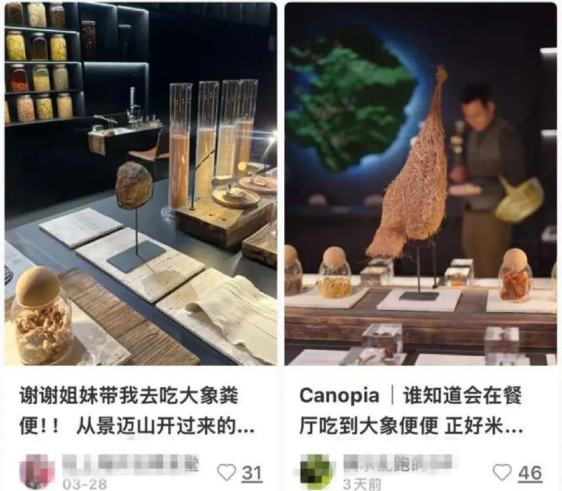 » 8、人均3888元 上海餐厅用大象粪便做甜品被立案近日有网友爆料，上海一新开餐厅每晚仅开一桌12席，食客剪盆栽叶子当开胃菜，品尝模拟腐臭寄生花的糊糊，还有一道号称用大象粪便制作的甜品