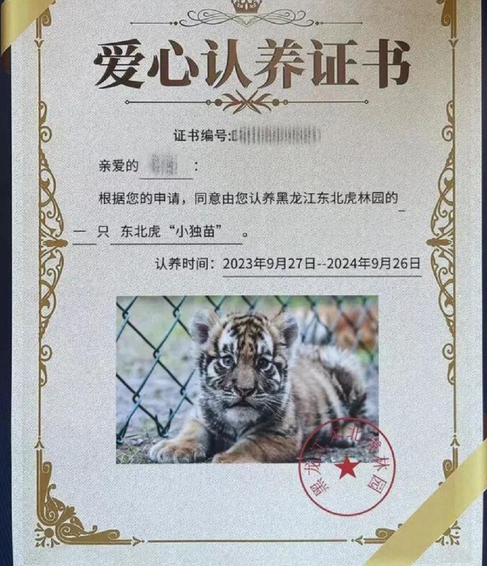 » 10、女子花费2000多元认养的老虎几个月前去世 动物园不报死讯“如果‘苗苗’还在，如今应该是两岁模样了吧