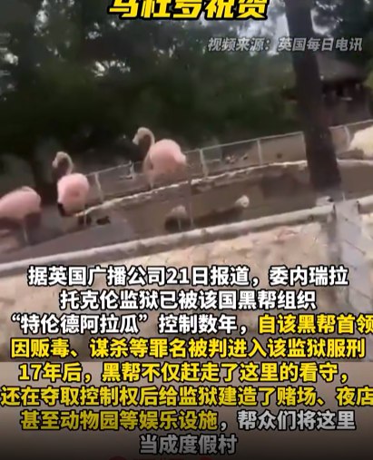» 15. 委内瑞拉黑帮控制监狱数年改成“度假村” 政府出兵1.1万夺回据英国广播公司21日报道，委内瑞拉托克伦监狱已被该国黑帮组织“特伦德阿拉瓜”控制数年，自该黑帮首领因贩毒、谋杀等罪名被判进入该监狱服刑17年后，黑帮不仅赶走了这里的看守，还在夺取控制权后给监狱建造了赌场、夜店甚至动物园等娱乐设施，帮众们将这里当成度假村，还有不少帮众将家人带到这座监狱里面或者附近生活