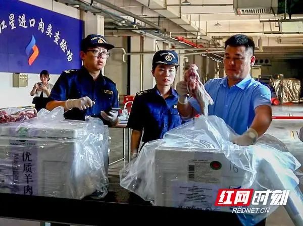 » 1. 中国开始进口马达加斯加羊肉9月8日，1批900余公斤产自非洲马达加斯加的冷冻羊肉运抵湖南红星进口肉类指定查验场，长沙海关第一时间对这批羊肉实施了现场查验