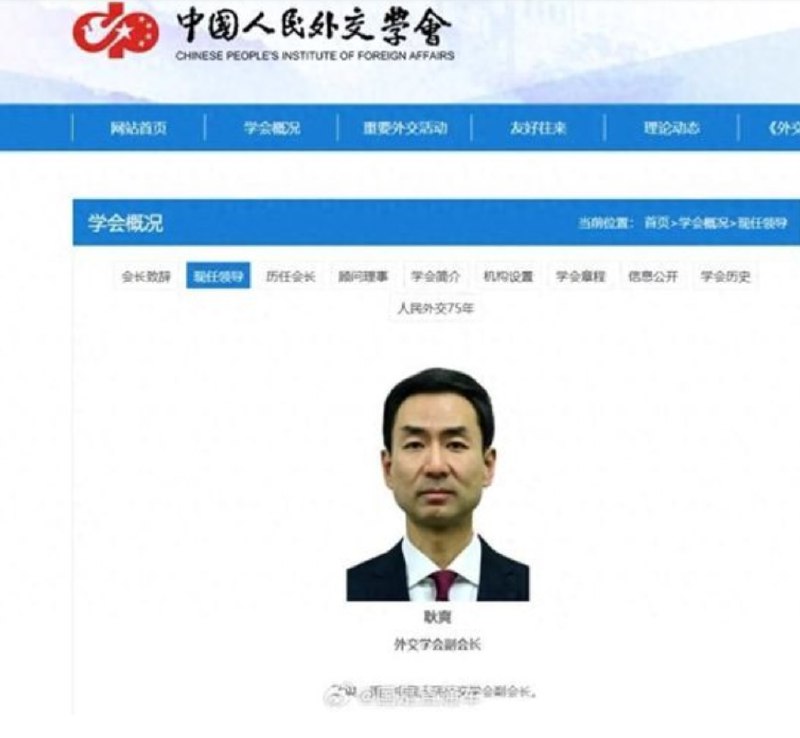 » 3、常驻联合国副代表耿爽改任外交学会副会长  73年生 53岁据中国人民外交学会官网显示，耿爽已履新中国人民外交学会副会长
