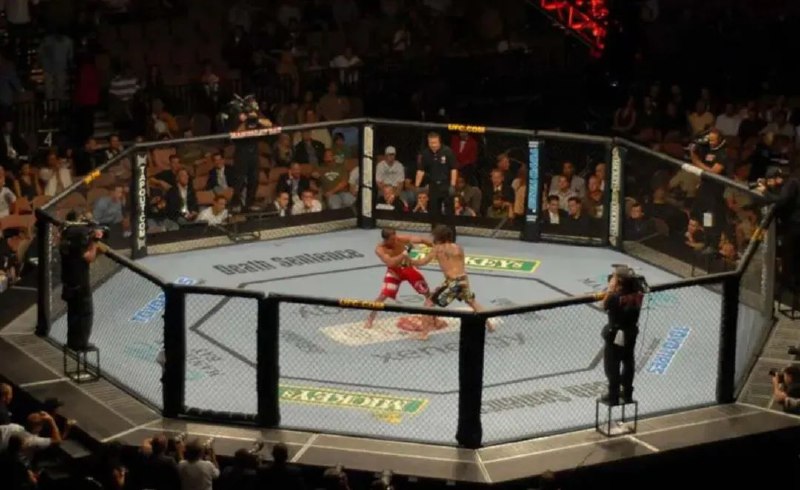 » 4、美国250周年国庆 白宫将现场表演UFC格斗据美国哥伦比亚广播公司（CBS）报道，美国终极格斗冠军赛（UFC）总裁达纳·怀特当地时间12日确认，UFC将于2026年7月4日在白宫举办一场历史性比赛，以庆祝美国独立250周年，这也将是首次在白宫举办的“八角笼”格斗赛
