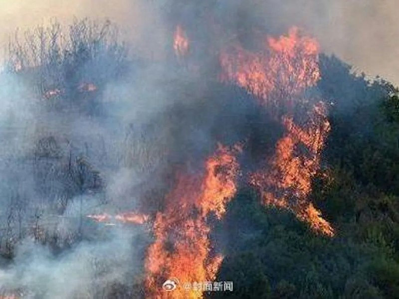 » 6. 贵州长顺县山火 三名扑火人员死亡记者从贵州长顺县了解到，4月2日上午10时许，前一天下午在代化镇麻响村发生的山火已被扑灭