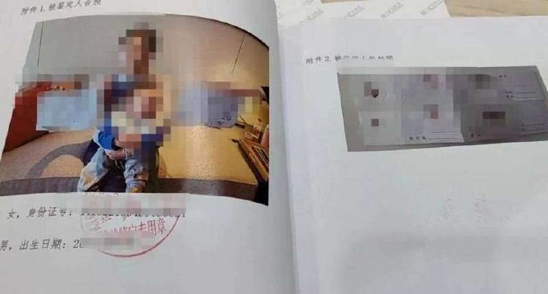 » 4. 武汉某司法鉴定所被曝伪造亲子鉴定，以套取出生证明，武汉警方介入11月24日，举报襄阳健桥医院贩卖出生证明、贩卖婴儿的上官正义，再次举报武汉某医院、鉴定所与广州、深圳的中介勾结，从事非法代孕、调包血样出具虚假亲子鉴定，套取出生证明为来历不明的婴儿落户