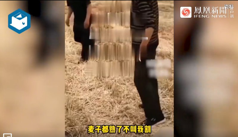 3. 河南一村干部要求收割小麦村民出示核酸证明 农业农村部回应针对日前网上流传的疑似村民收麦与村干部因为核酸证明起争执等视频，农民日报记者采访了农业农村部相关司局负责人