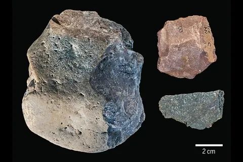 » 11、考古发现古人类用石器屠宰河马等动物并加工植物2月9日，一个来自美国、英国等多个国家的联合研究团队在《科学》杂志上发表了一项新的考古发现，他们在肯尼亚发现了人类祖先使用过的石器工具，这些工具被认为可追溯至约300万至258万年前，同时被发现的还有人类近亲——傍人的牙齿以及古代河马类生物的屠宰残骸