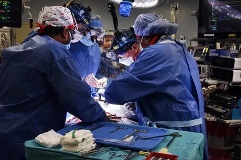 » 12. 首例猪心脏移植患者死亡报告公布 多重因素致心力衰竭经过一年的研究，世界首位猪心脏移植患者在接受移植手术两个月后死亡的具体原因，有了最新结论