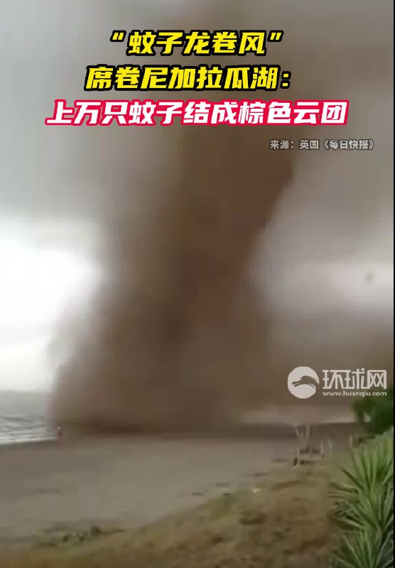 » 16. “蚊子龙卷风”席卷尼加拉瓜湖：上万只蚊子结成棕色云团震撼画面曝光据英国《每日快报》5月31日报道，尼加拉瓜西南部尼加拉瓜湖附近的一座村庄上空，成千上万只蚊子突然聚集在一起，结成巨型棕色云团，这一奇怪现象令当地居民倍感不安