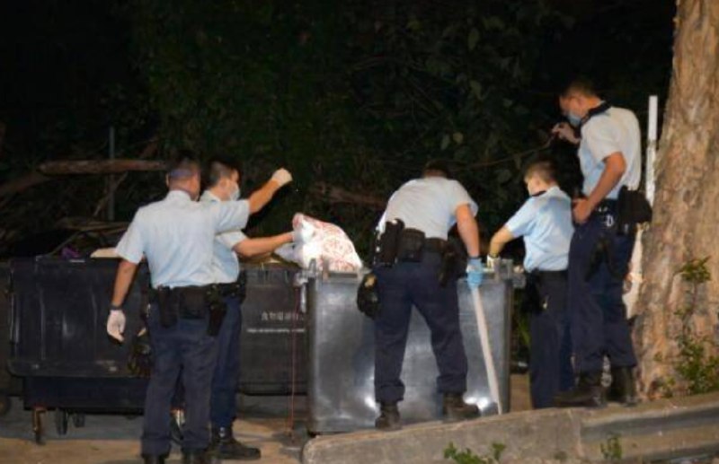» 13. 28岁香港名媛蔡天凤被杀碎尸 警方已拘捕3人24日香港大埔龙尾村发现一宗碎尸案，死者是失踪多日的28岁女模特、名媛蔡天凤