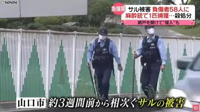 15. 日本“人猴大战”：61人受伤，两只公猴被抓获28日晚上，一只野猴闯入山口市内一家建筑公司的员工宿舍，抓伤了一名印度尼西亚籍职员的右臂，造成男子轻伤
