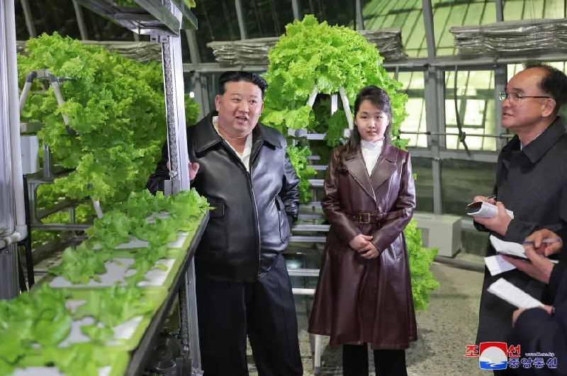 » 4. 朝中社为金正恩女儿上尊号据朝中社3月16日报道，朝鲜国务委员会委员长金正恩15日携女儿金主爱出席江东综合温室竣工投产仪式