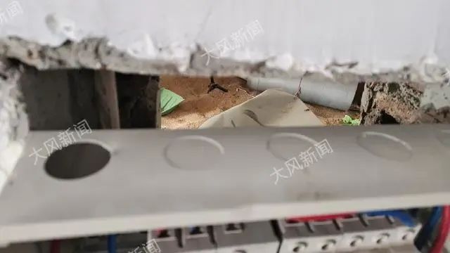 » 14、经销商用农药熏蒸粮食致邻居一家四口中毒，两名幼子身亡近4个月前，因为隔壁邻居张某家使用农药磷化铝进行熏蒸作业，导致严先生一家四口中毒，两个未成年儿子抢救无效身亡