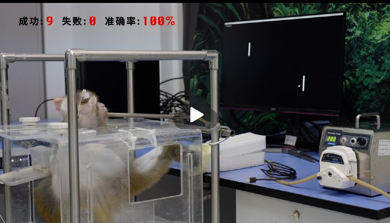 » 10、猴子“意念”玩游戏！世界人工智能大会展示国内脑机接口新成果在论坛的发布环节，国内知名脑机接口企业脑虎科技一共发布了七项横跨学术、科研、医疗临床的科研成果，展示了相应的实验视频，并在现场展出了最新的手术机器人及科研市场解决方案系列产品