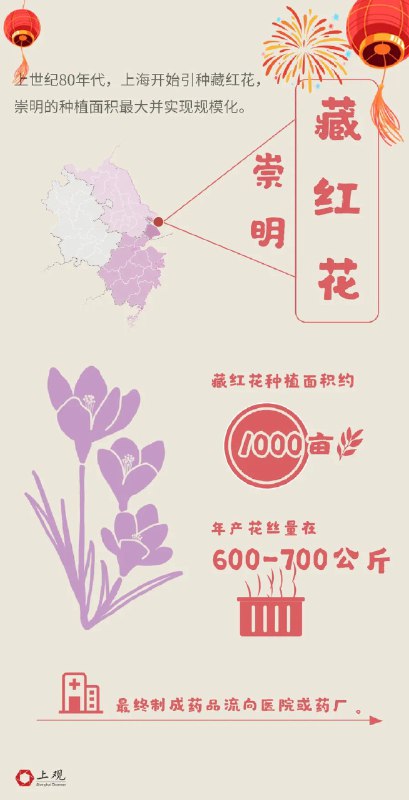 » 2. 统计数据：上海长期以来是藏红花最大产地其实，这里有两大误区