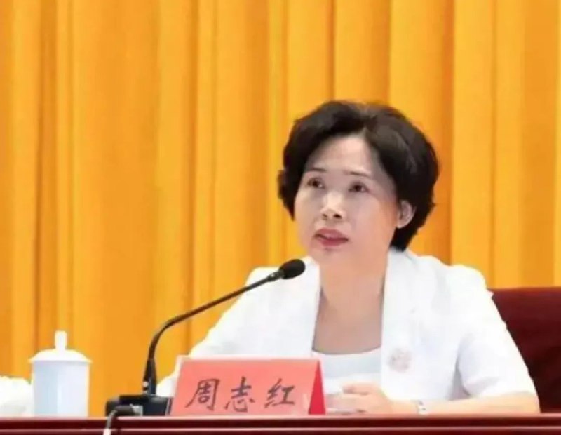 » 5、 荆州市长倒台近日传出被相关部门带走的湖北荆州政府副书记、市长周志红，有了新消息
