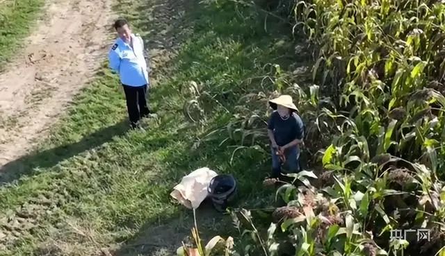» 8. 河南固始县执法人员偷盗红高粱：白天刚辟谣 晚上又承认10月22日，网友发布视频称，河南信阳固始县三河尖镇，有执法人员带人偷红高粱，并被无人机拍下