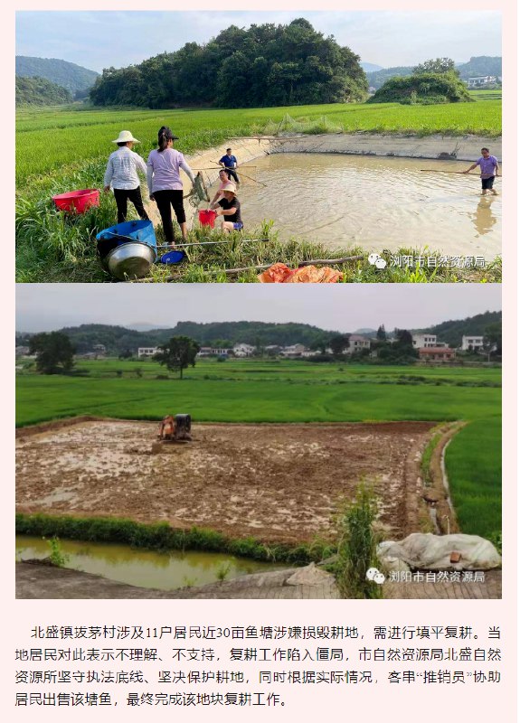 » 1. 自然资源部：严禁不顾实际强行拔苗砍树、填坑平塘自然资源部14日明确要求，坚决防止违法占用耕地、破坏生态和人居环境、侵害群众合法权益等突破红线底线行为，同时巩固退耕还林成果，杜绝不顾农业生产实际，拔苗砍树、填坑平塘等“一刀切”行为