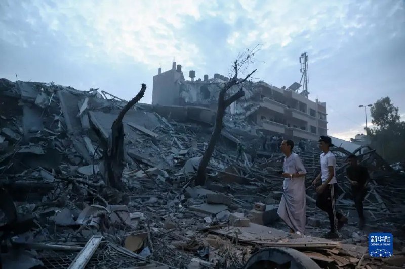 » 2、新一轮巴以冲突已致双方近700人死亡据巴勒斯坦卫生部门消息，以军空袭加沙已致313名巴勒斯坦人死亡、近2000人受伤