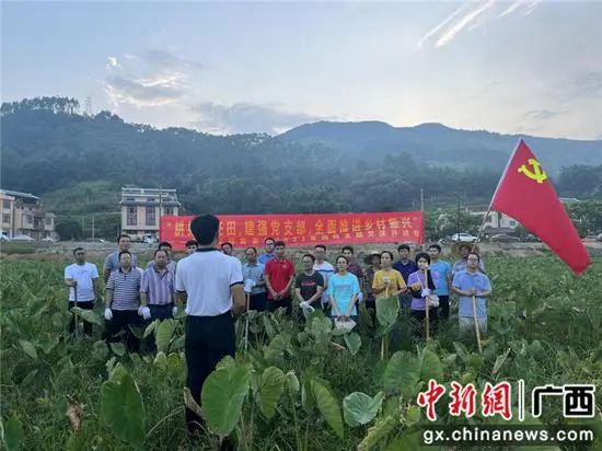 1. 本地农商行为广西巴马全县干部授信促消费：处级120万，科级50万近日在微博等网络平台上，一份抬头为“巴马瑶族自治县人民政府办公室”的红头文件照片显示，巴马县政府办在7月29日下发了一份题为《关于促进消费拉动经济稳增长有关工作的通知》