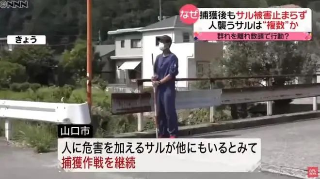 15. 日本“人猴大战”：61人受伤，两只公猴被抓获28日晚上，一只野猴闯入山口市内一家建筑公司的员工宿舍，抓伤了一名印度尼西亚籍职员的右臂，造成男子轻伤