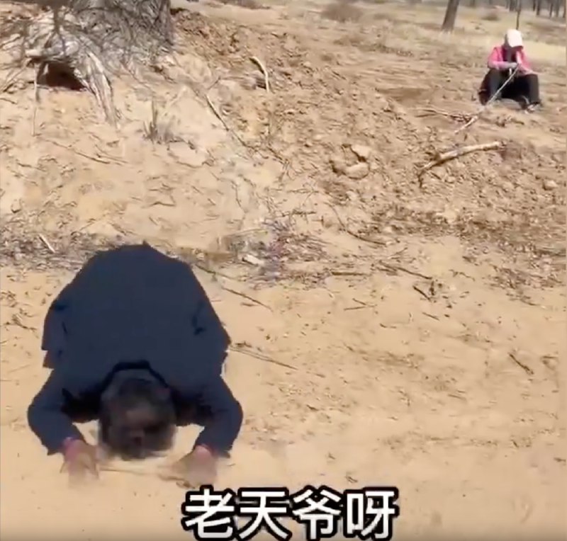 » 15. 林场主人跪地期盼恢复供水，宁夏灵武自然资源局回应宁夏孙先生反映，2003年起，他承包万亩荒沙滩植树治沙，近期被煤矿破坏水源，林场树木面临枯死